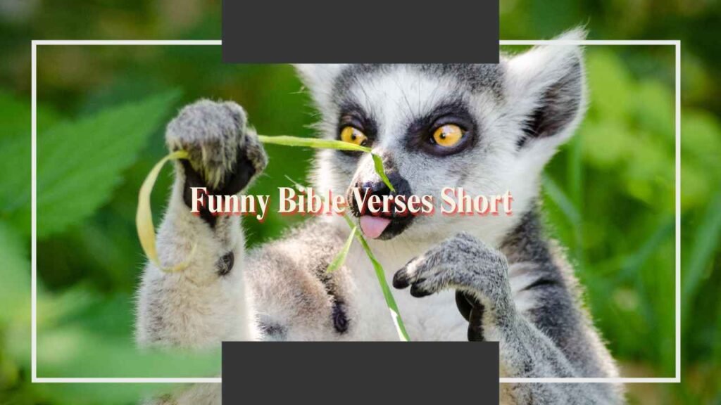 Funny Bible Verses Short