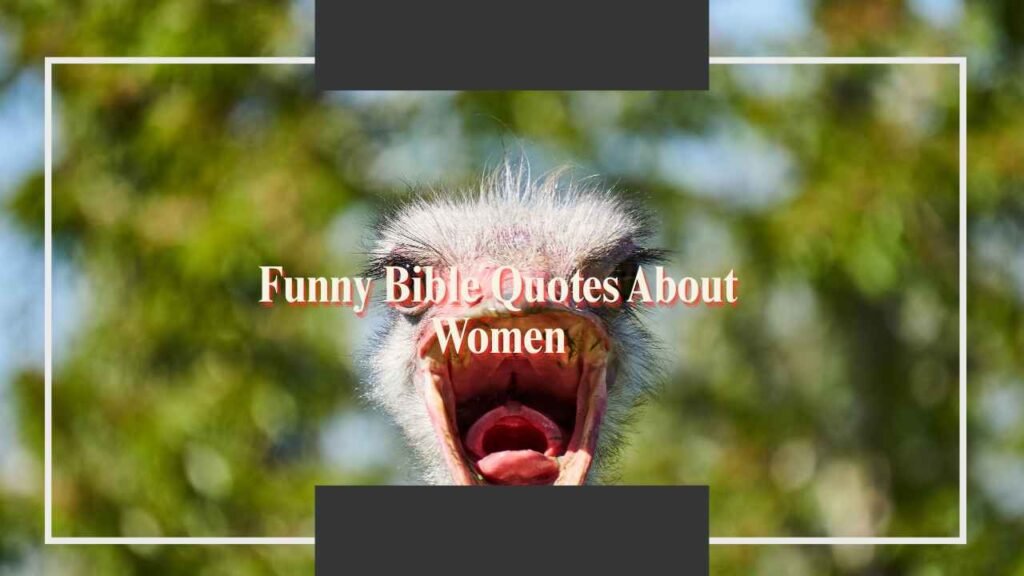 Funny Bible Verses Short
