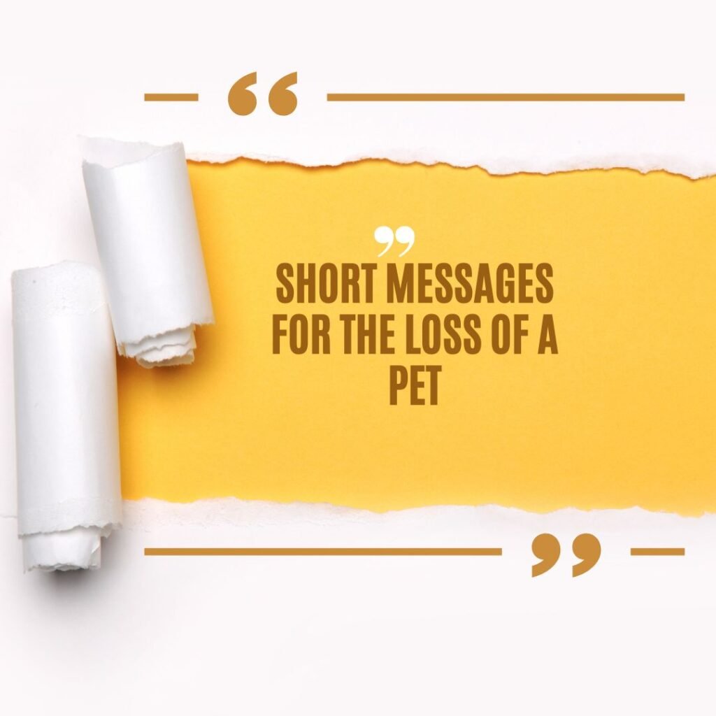 Short Message for Loss of Pet